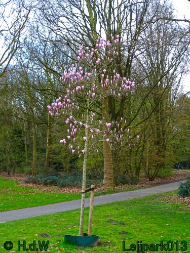 21 &amp; 22 &amp; 23 &amp; 24 maart 2024