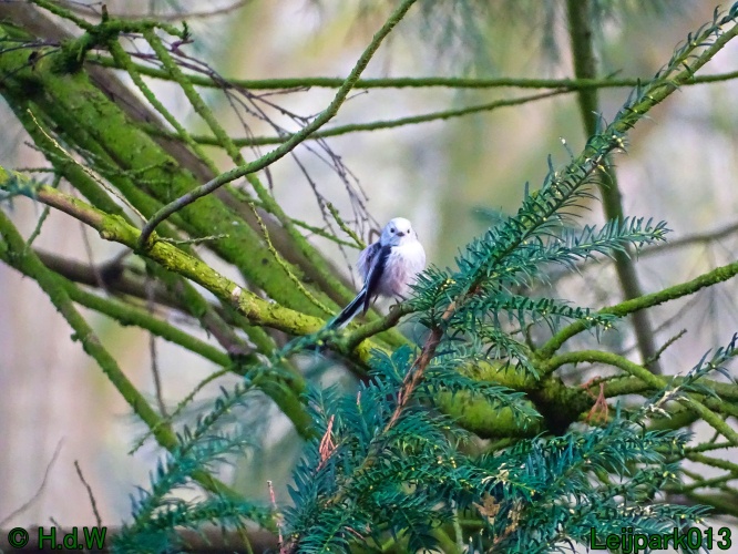 25 &amp; 26 &amp; 27 &amp; 28 maart 2024