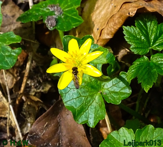 25 &amp; 26 &amp; 27 &amp; 28 maart 2024