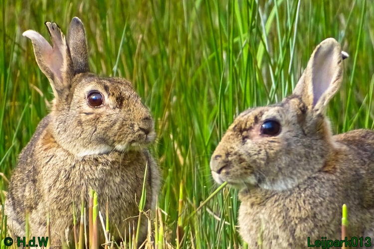 25 &amp; 26 &amp; 27 &amp; 28 maart 2024