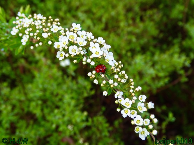 25 &amp; 26 &amp; 27 &amp; 28 maart 2024