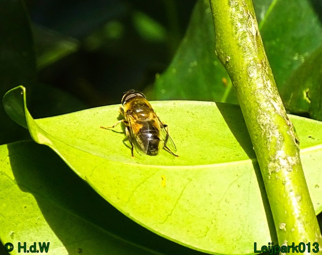 25 &amp; 26 &amp; 27 &amp; 28 maart 2024