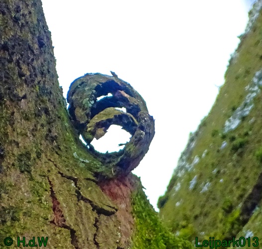 25 &amp; 26 &amp; 27 &amp; 28 maart 2024