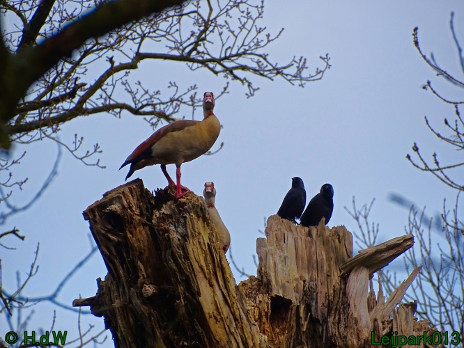 25 &amp; 26 &amp; 27 &amp; 28 maart 2024