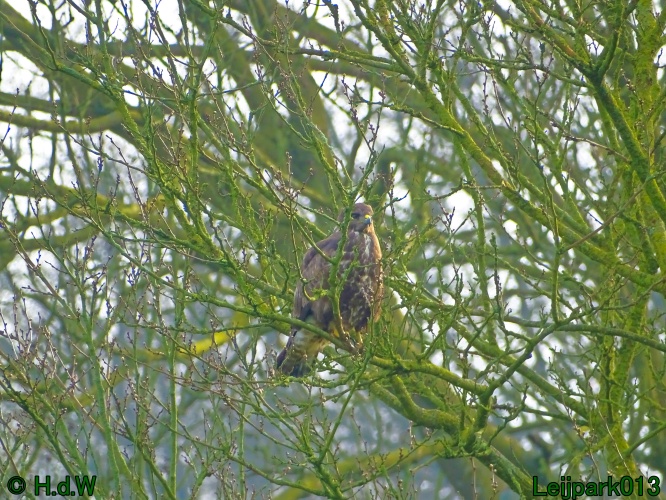 25 &amp; 26 &amp; 27 &amp; 28 maart 2024