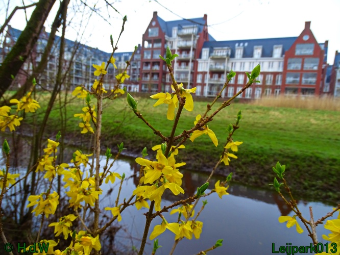 25 &amp; 26 &amp; 27 &amp; 28 maart 2024