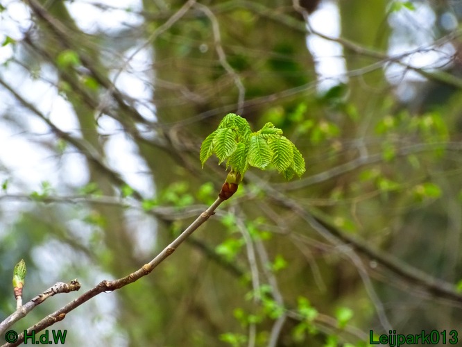 25 &amp; 26 &amp; 27 &amp; 28 maart 2024