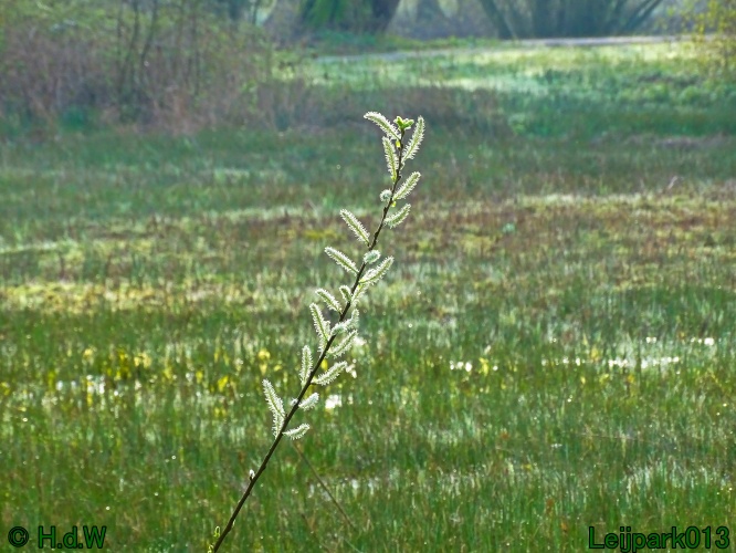 25 &amp; 26 &amp; 27 &amp; 28 maart 2024