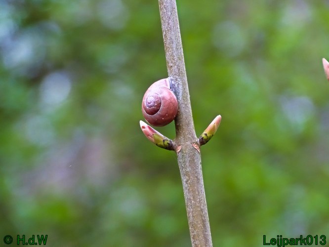 25 &amp; 26 &amp; 27 &amp; 28 maart 2024