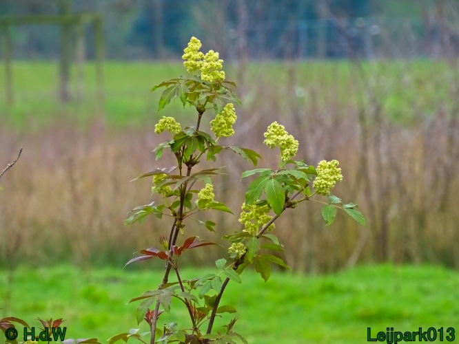 25 &amp; 26 &amp; 27 &amp; 28 maart 2024