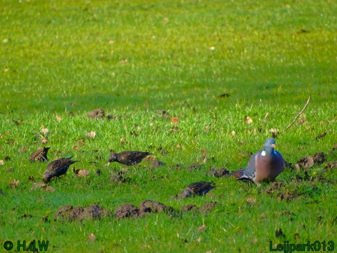 25 &amp; 26 &amp; 27 &amp; 28 maart 2024