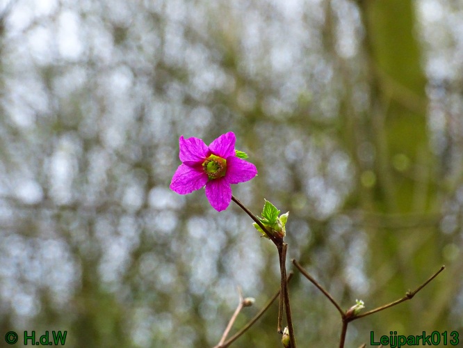 25 &amp; 26 &amp; 27 &amp; 28 maart 2024