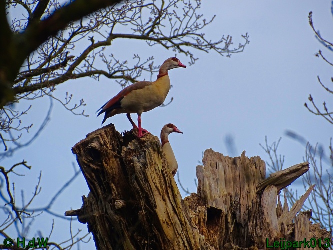 25 &amp; 26 &amp; 27 &amp; 28 maart 2024