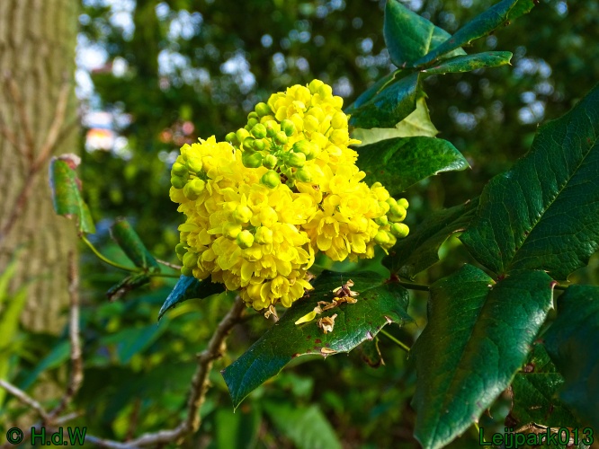 25 &amp; 26 &amp; 27 &amp; 28 maart 2024