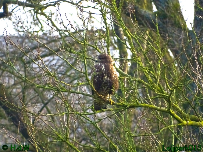 25 &amp; 26 &amp; 27 &amp; 28 maart 2024