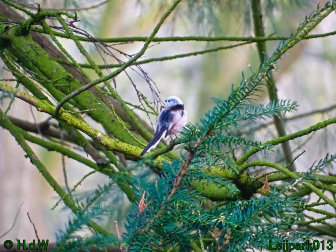 25 &amp; 26 &amp; 27 &amp; 28 maart 2024