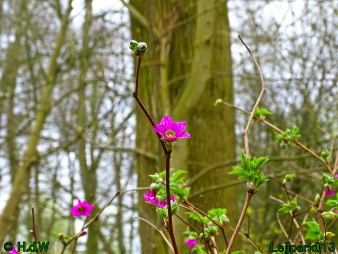 25 &amp; 26 &amp; 27 &amp; 28 maart 2024