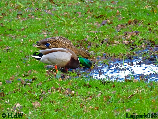 25 &amp; 26 &amp; 27 &amp; 28 maart 2024