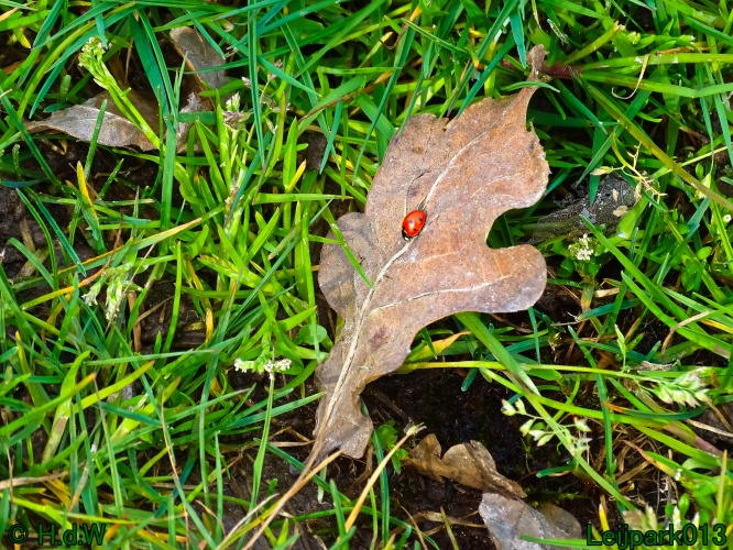 25 &amp; 26 &amp; 27 &amp; 28 maart 2024