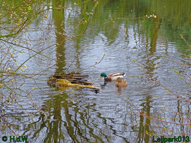 25 &amp; 26 &amp; 27 &amp; 28 maart 2024