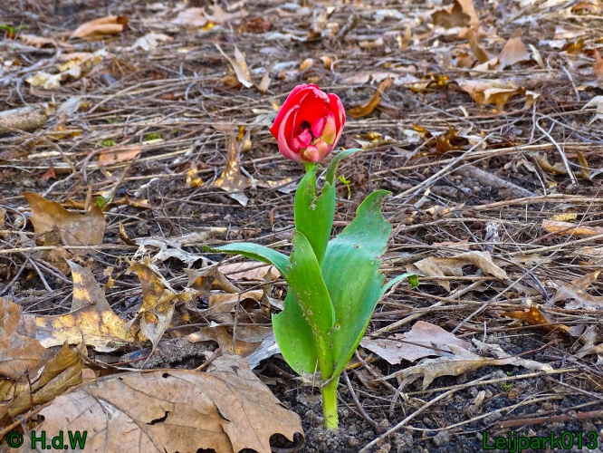 25 &amp; 26 &amp; 27 &amp; 28 maart 2024