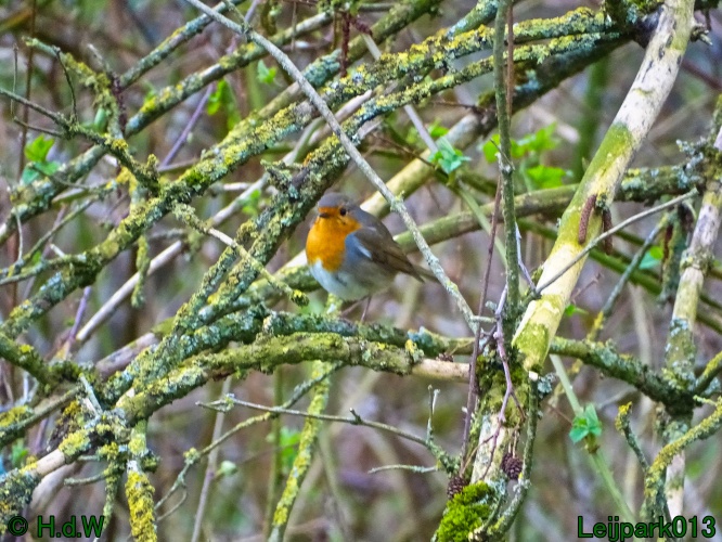 25 &amp; 26 &amp; 27 &amp; 28 maart 2024