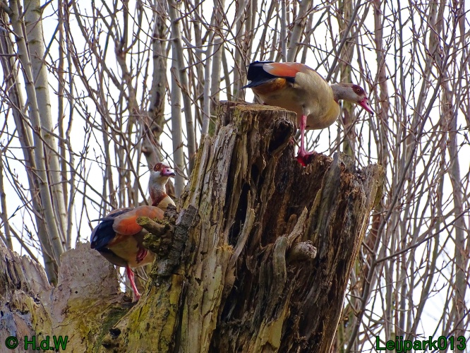 25 &amp; 26 &amp; 27 &amp; 28 maart 2024