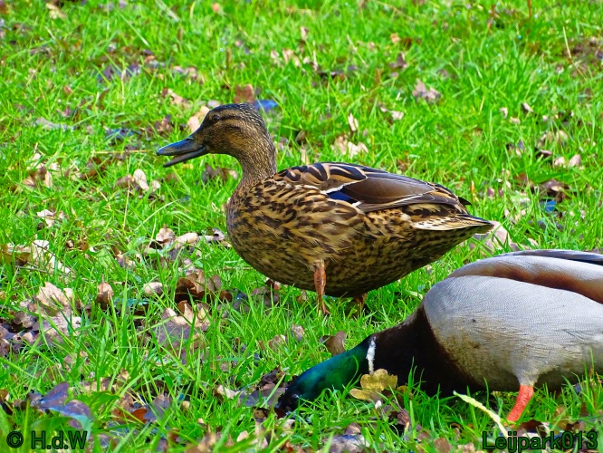 25 &amp; 26 &amp; 27 &amp; 28 maart 2024