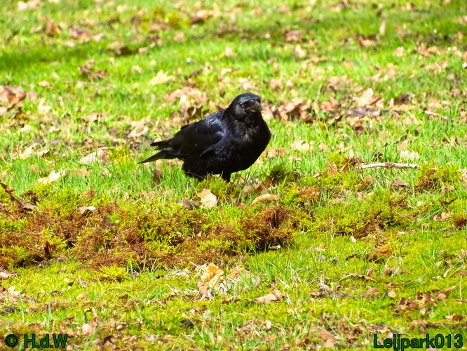 25 &amp; 26 &amp; 27 &amp; 28 maart 2024