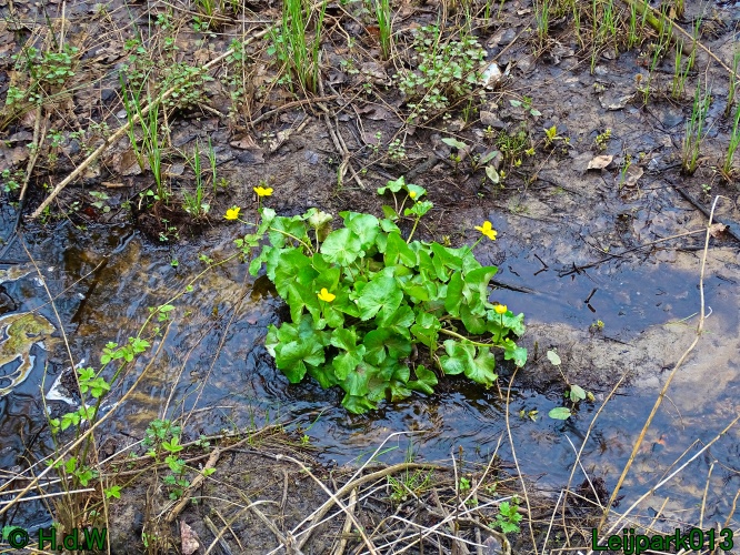 25 &amp; 26 &amp; 27 &amp; 28 maart 2024