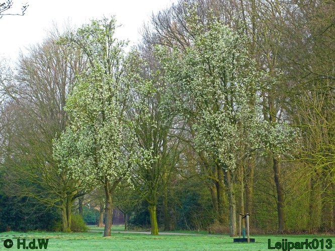 25 &amp; 26 &amp; 27 &amp; 28 maart 2024