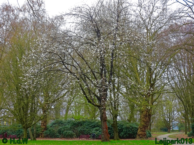 25 &amp; 26 &amp; 27 &amp; 28 maart 2024