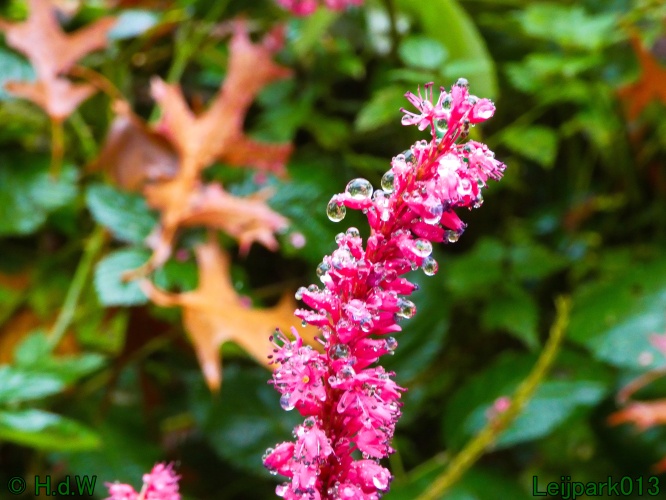 2 &amp; 3 &amp; 4 &amp; 5 November 2024