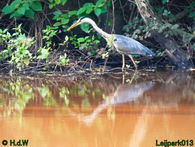 10 &amp; 11 &amp; 12 &amp; 13 augustus 2024