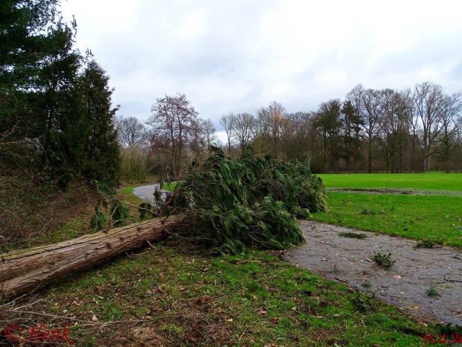 Storm terug in de tijd