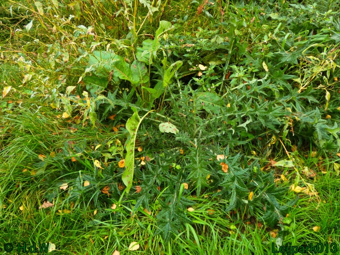 1 &amp; 2 &amp; 3 &amp; 4 oktober 2025