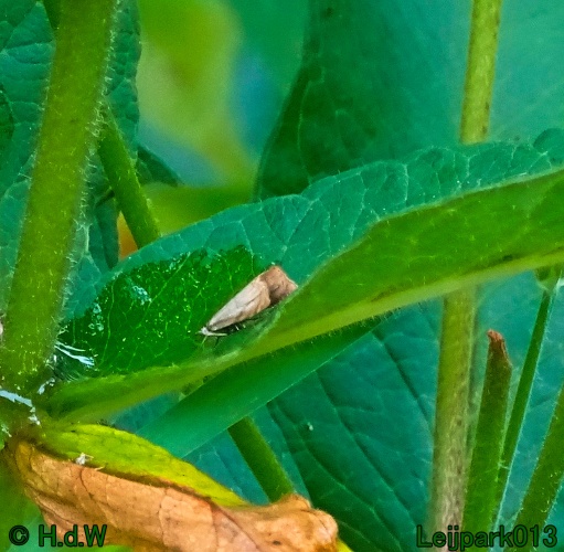 27 &amp; 28 &amp; 29 &amp; 30 juni 2024