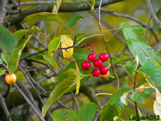 1 &amp; 2 &amp; 3 &amp; 4 oktober 2025