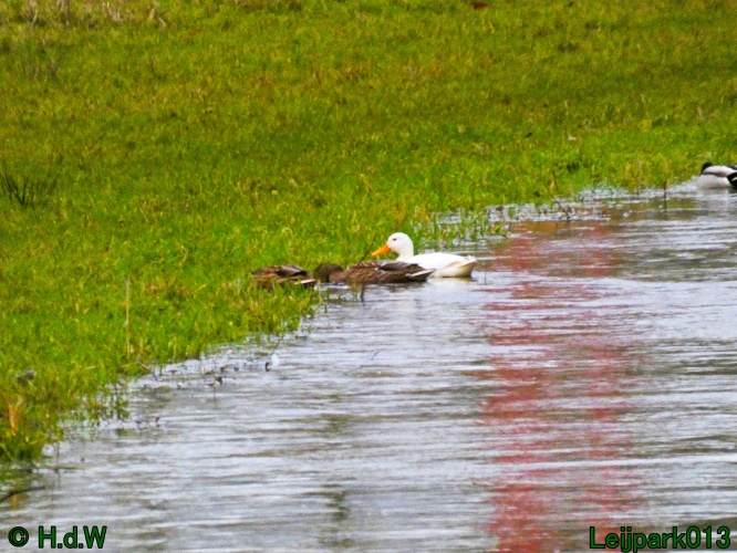 9 &amp; 10 &amp; 11 &amp; 12 januari 2025