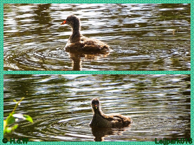 5 &amp; 6 &amp; 7 &amp; 8 juli 2024