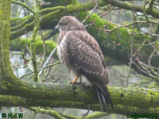 1 &amp; 2 &amp; 3 &amp; 4 januari 2025