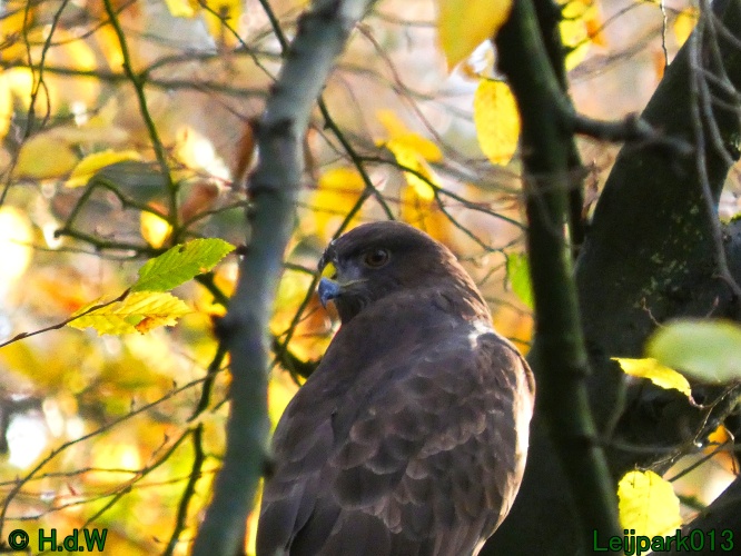 18 &amp; 19 &amp; 20 &amp; 21 november 2024