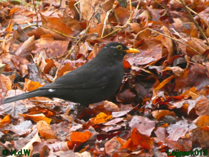 21 &amp; 22 &amp; 23 &amp; 24 januari 2025