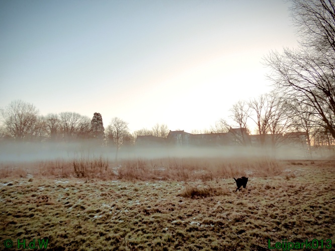 13 januari Mist en zon