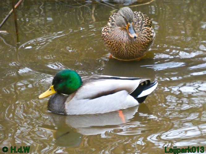 21 &amp; 22 &amp; 23 &amp; 24 januari 2025