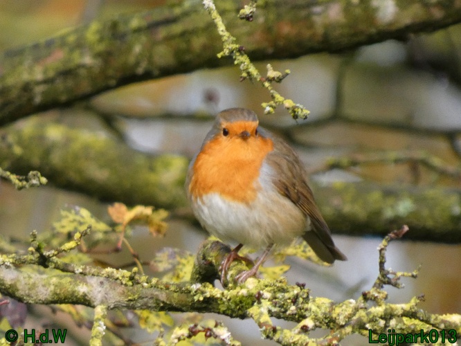 18 &amp; 19 &amp; 20 &amp; 21 november 2024