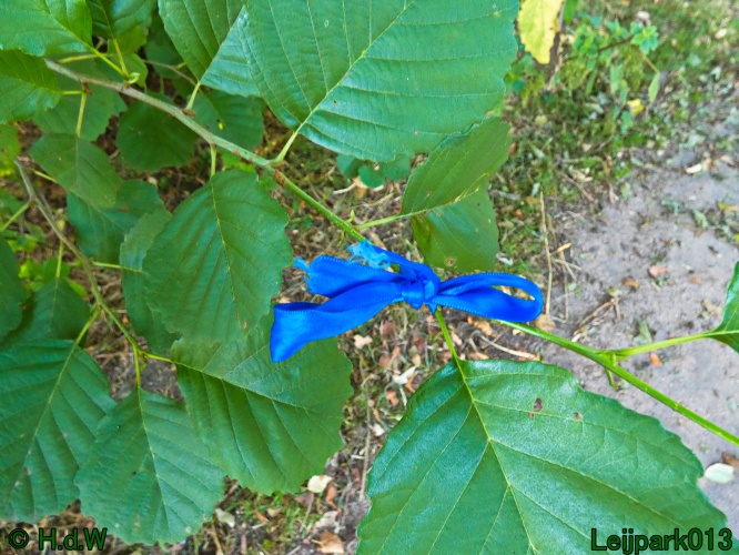 22 &amp; 23 &amp; 24 &amp; 25 augustus 2024