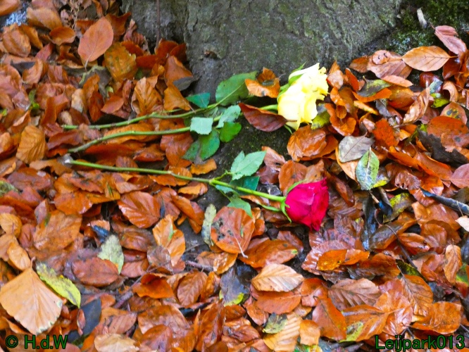 2 &amp; 3 &amp; 4 &amp; 5 November 2024