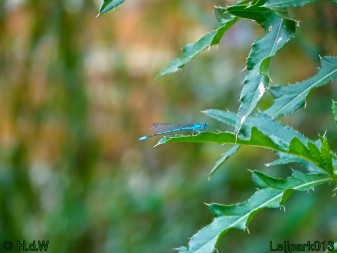 9 &amp; 10 &amp; 11 &amp; 12 juli 2024