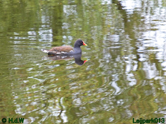 10 &amp; 11 &amp; 12 &amp; 13 augustus 2024